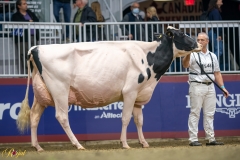 A9100072-10336 A9100072-10336