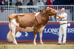 A9100076-10337 A9100076-10337