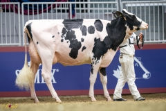 A9109878-10345 A9109878-10345