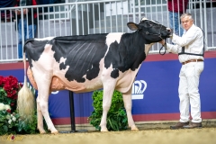 A9109901-10352 A9109901-10352