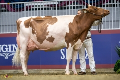 A9109988-10312 A9109988-10312