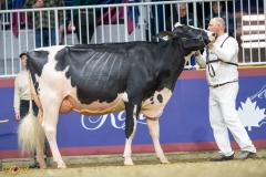 A9104529-10096 A9104529-10096