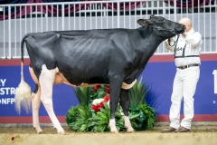 A9104534-10098 A9104534-10098