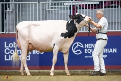 A9104537-10099 A9104537-10099