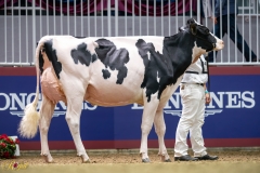 A9104546-10101 A9104546-10101