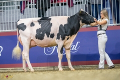 A9104557-10107 A9104557-10107