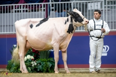 A9104560-10108 A9104560-10108