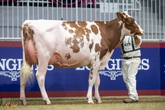 A9104562-10109 A9104562-10109