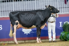 A9104581-10116 A9104581-10116