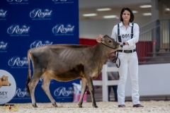 3G1A6528-10638 3G1A6528-10638