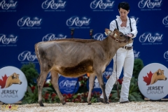 3G1A6532-10639 3G1A6532-10639