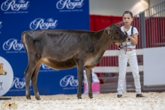 3G1A6547-10641 3G1A6547-10641