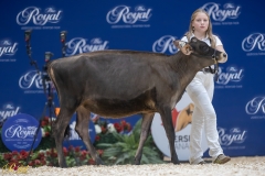 3G1A6553-10642 3G1A6553-10642