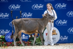 3G1A6560-10644 3G1A6560-10644