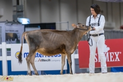 3G1A6574-10645 3G1A6574-10645