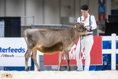 3G1A6581-10646 3G1A6581-10646