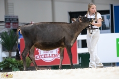 3G1A6586-10647 3G1A6586-10647