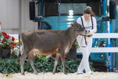 3G1A6602-10649 3G1A6602-10649