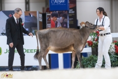 3G1A6605-10650 3G1A6605-10650