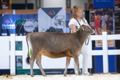 3G1A6609-10651 3G1A6609-10651