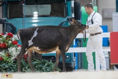 3G1A6624-10655 3G1A6624-10655