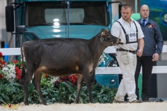 3G1A6634-10657 3G1A6634-10657