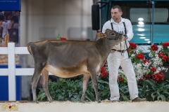 3G1A6640-10658 3G1A6640-10658