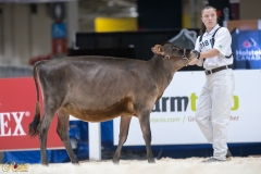 3G1A6650-10659 3G1A6650-10659