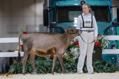 3G1A6653-10660 3G1A6653-10660