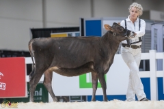 3G1A6666-10662 3G1A6666-10662