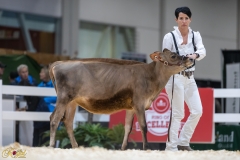 3G1A6703-10665 3G1A6703-10665