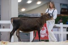 3G1A6705-10666 3G1A6705-10666