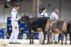 3G1A6707-10667 3G1A6707-10667