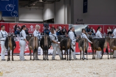 3G1A6721-10671 3G1A6721-10671