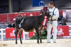 3G1A6731-10673 3G1A6731-10673