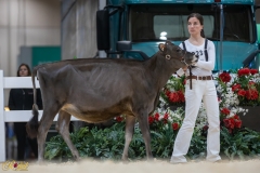 3G1A6746-10674 3G1A6746-10674