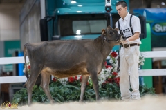 3G1A6765-10677 3G1A6765-10677