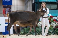 3G1A6770-10678 3G1A6770-10678