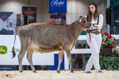 3G1A6787-10679 3G1A6787-10679