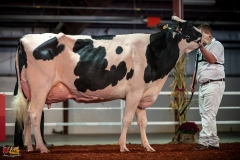 DSC01480-2 DSC01480-2