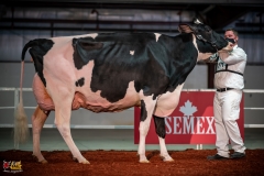 DSC01495-2 DSC01495-2