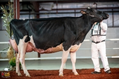 DSC01496-2 DSC01496-2