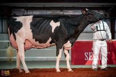 DSC01500-2 DSC01500-2