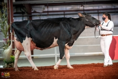 DSC01504-2 DSC01504-2