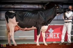 DSC01522-2 DSC01522-2