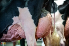 DSC01525-2 DSC01525-2