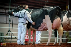 DSC01528-2 DSC01528-2