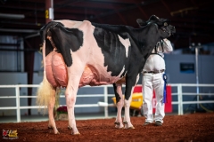 DSC01536-2 DSC01536-2