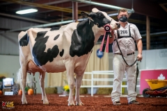 DSC01539-2 DSC01539-2