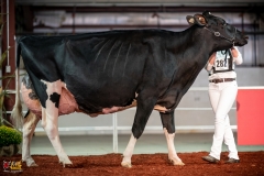 DSC01564-2 DSC01564-2